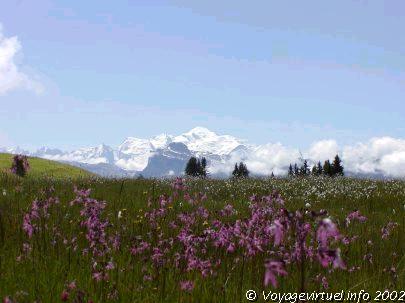 Cliquez ici pour voir toutes les Photo des Alpes