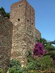 Malaga