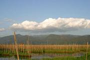 wallpaper Burma Inle lake