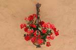 garde-freinet-812