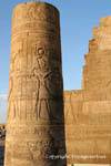 Colonne Kom Ombo Temple 420