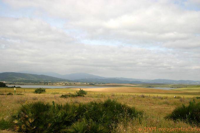 Landscape Embalse de Barbate, Alcala De Los Gazules - Espagne, Andalousie