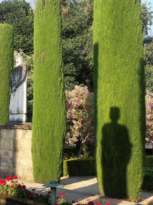 Ombre royale sur topiaire, Alcazar Cordoue - Espagne