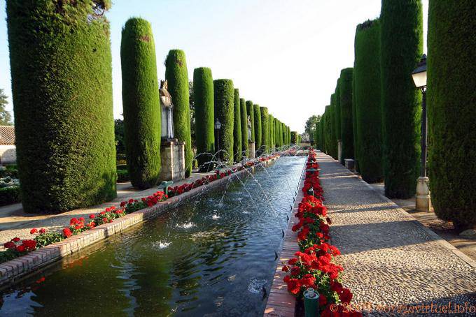 Alignement topiaire, Alcazar Cordoue - Espagne, Andalousie