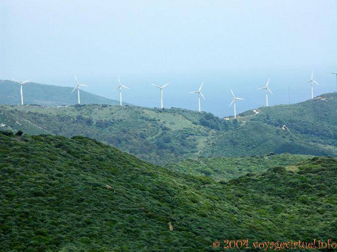 Eoliennes, Algesiras - Espagne, Andalousie