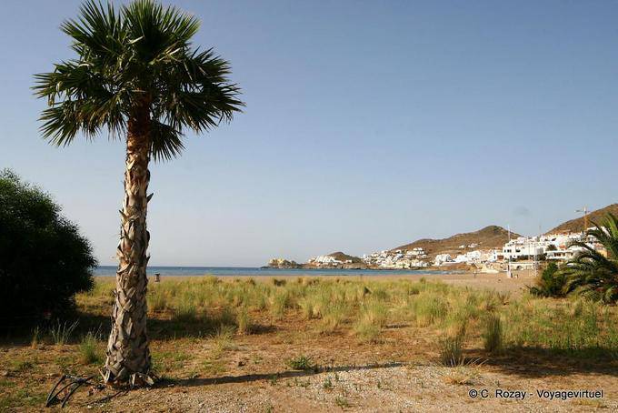 Palmier à San José, Cabo De Gata - Espagne