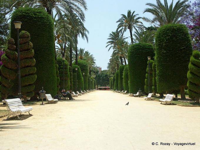 Allée Parque Genoves, Cadix - Espagne, Andalousie