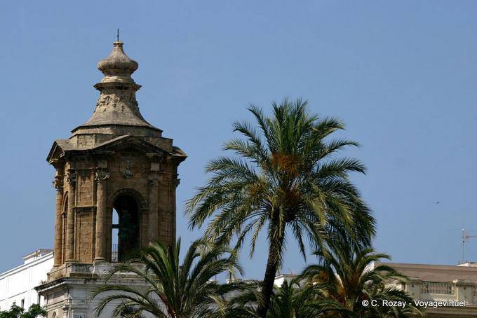 Palmier et architecture, calle San Juan de Dios, Cadix - Espagne, Andalousie