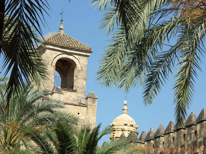 Vue entre les palmiers dans les jardins de l'Alcazar, Cordoue - Espagne, Andalousie