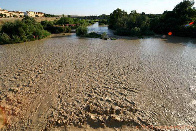 Guadalquivir, fleuve en colère, Cordoue - Espagne, Andalousie