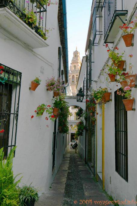 Medina y Corella, ruelle étroite, Cordoue - Espagne, Andalousie