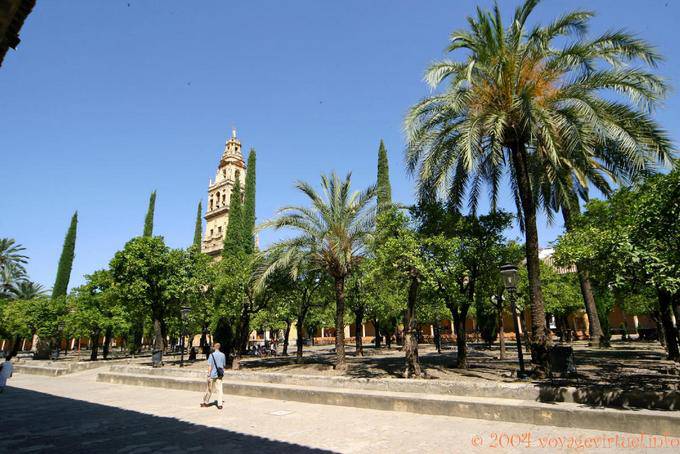 Dans le jardin du Patio de los Naranjos, Cordoue - Espagne, Andalousie
