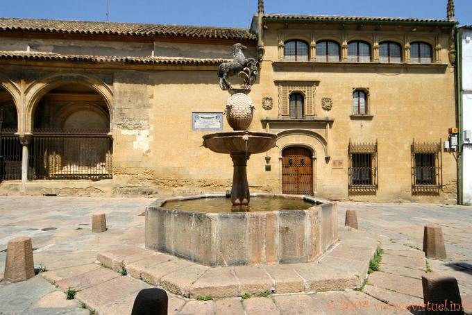 Fontaine au cheval, Plaza del Potro, face au Museo de Bellas Artés, Cordoue - Espagne, Andalousie