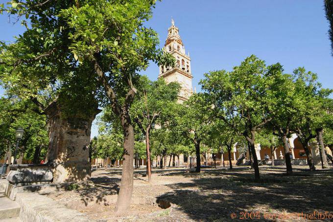 La Giralda vue depuis le patio de los naranjos ou cour des orangers, Mezquita Cordoue - Espagne, Andalousie