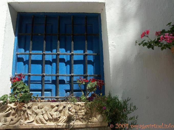 Anges sur le bac à fleur, Mojacar - Espagne, Andalousie
