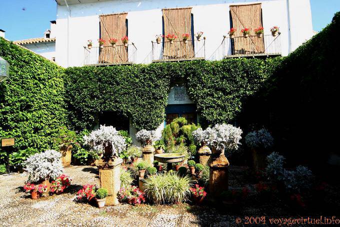 Envahissement végêtal contrôlé dans le patio de las Rejas, Palacio de Viana, Cordoba - Espagne, Andalousie