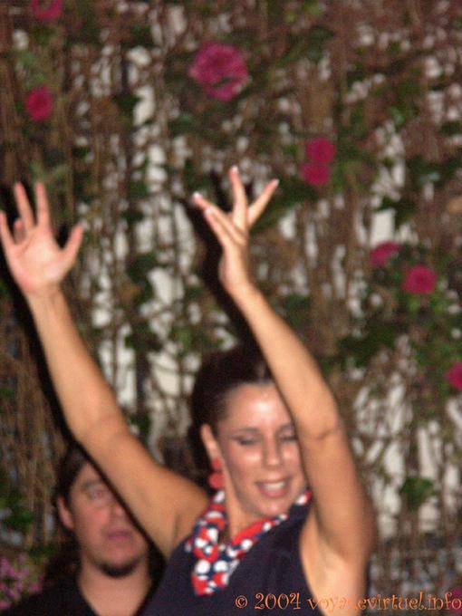 Mains de danseuse de flamenco, Séville - Espagne