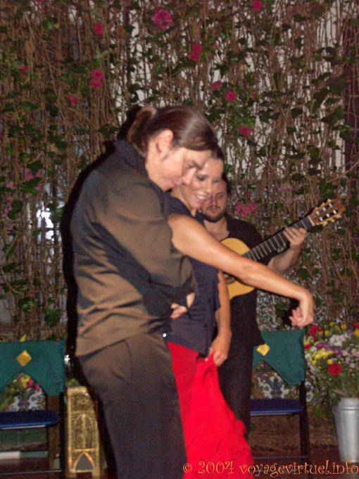 Corps à corps des danseurs, Flamenco à Séville - Espagne