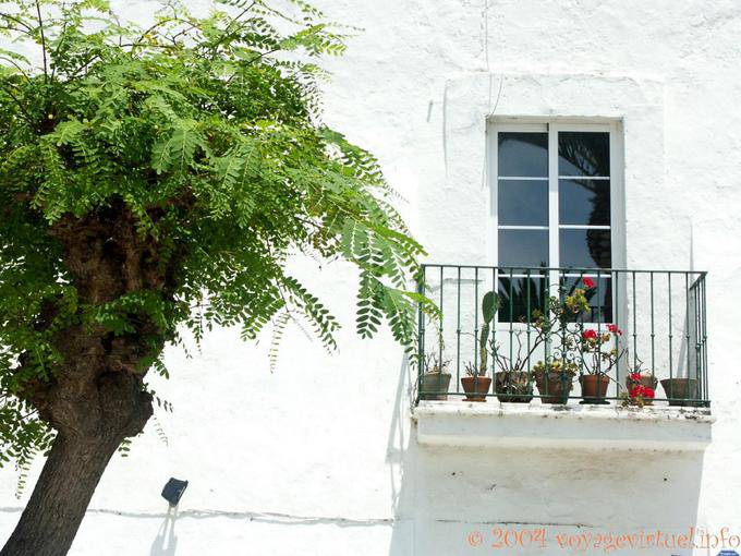 Arbre et balconnet, Tarifa - Espagne