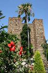 Palmier devant une tour de l'Alcazaba, Malaga, Espagne.