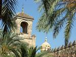 Vue entre les palmiers dans les jardins de l'Alcazar, Cordoue, Espagne.