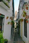 Medina y Corella, ruelle étroite, Cordoue, Espagne.