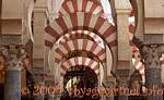 Enfilade mauresque d'arcs en fer à cheval, Mezquita Cordoue, Espagne.