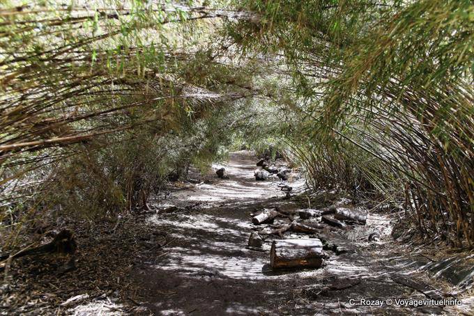 Impression sur le Circuito Chico, Bariloche - Argentine