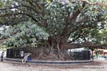 Plaza San Martin de Tours, Buenos Aires, Argentine.