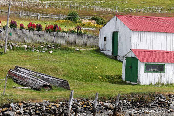 Vieilles barques et lupins, Estancia Harberton, Ushuaia - Argentine