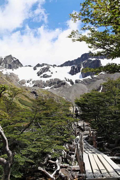 Passage de bois, El Bosque, glacier Martial, Ushuaia - Argentine