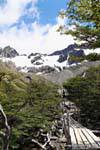 Passage de bois, El Bosque, glacier Martial, Ushuaia, Argentine.