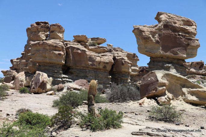 Vue sur le sous-marin, Ischigualasto, Vallée de la Lune - Argentine