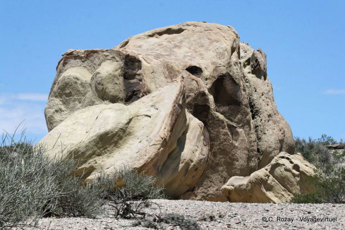 Forme étrange, Ischigualasto, Valle de la Luna - Argentine