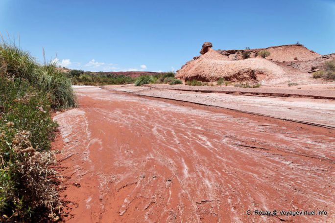 Sel dans le lit de rivière, Ischigualasto, Vallée de la Lune - Argentine