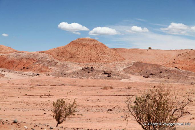 Formación Los Colorados, Ischigualasto, Valle de la Luna - Argentine