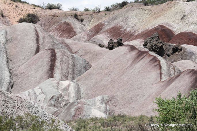 Loberias, Ischigualasto, Valle de la Luna - Argentine