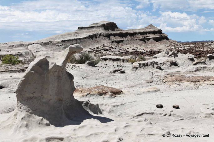 Formations géologiques, Ischigualasto, Vallée de la Lune - Argentine
