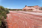 Sel dans le lit de rivière, Ischigualasto, Vallée de la Lune, Argentine.