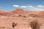 Formación Los Colorados, Ischigualasto, Valle de la Luna, Argentine.