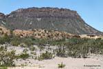 Sul Parque Provincial, Ischigualasto, Valle de la Luna, Argentine.