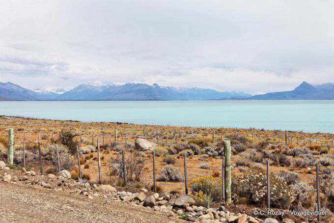 Paseo de la Costanera, Lago Argentino Vue - El  Calafate - Argentine