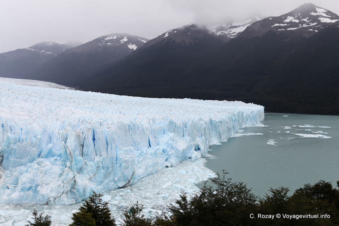 Langue sud plongeant dans le lago Argentino, glacier Perito Moreno, El Calafate - Argentine