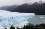 Langue sud plongeant dans le lago Argentino, glacier Perito Moreno, El Calafate, Argentine.