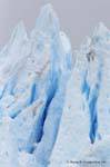 Couleurs de glace, glacier Perito Moreno, El Calafate, Argentine.