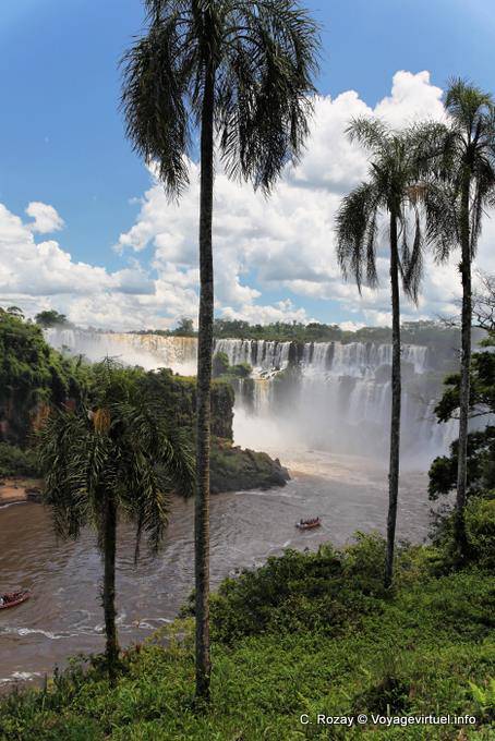 Palmiers sur le circuit inférieur, Puerto Iguazu Cataratas - Argentine