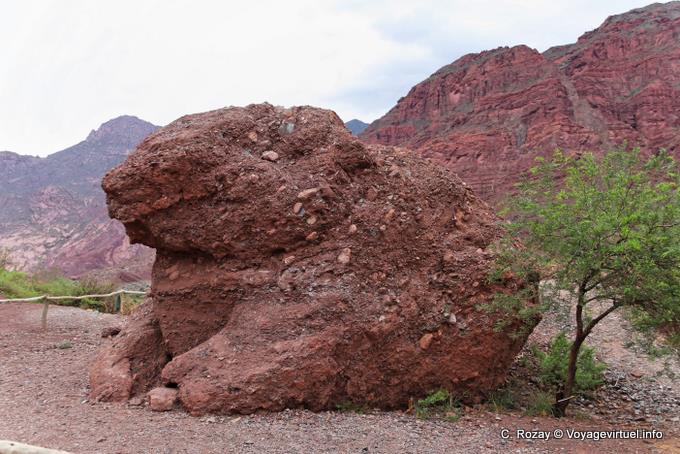 El Sapo, Quebrada de las Conchas - Argentine