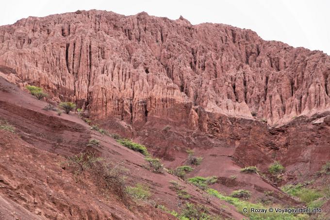Casa de Loros, nichoir à perroquets, Quebrada de las Conchas - Argentine