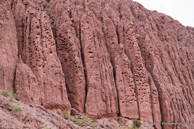 Gros plan sur la Casa de Loros, Quebrada de las Conchas - Argentine