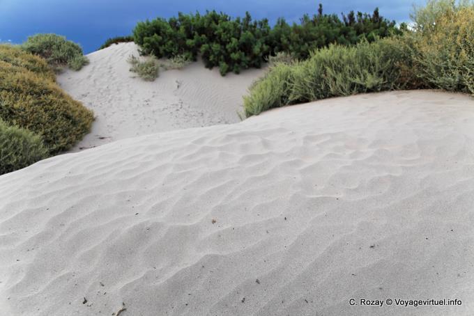 Sable blanc avant d'arriver à Cafayate, Quebrada de las Conchas - Argentine